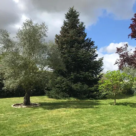 Maison Contemporaine Au Calme Avec Jardin Arbore Corme-Royal