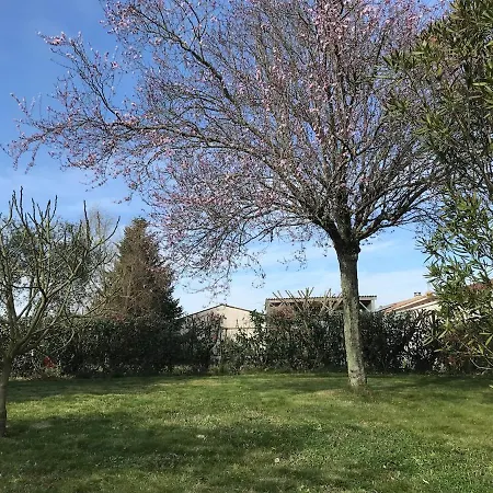 Maison Contemporaine Au Calme Avec Jardin Arbore * Corme-Royal